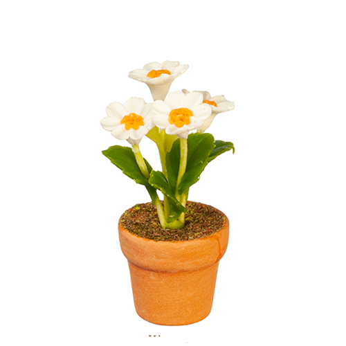 AZG6311 - White Daisy In Pot