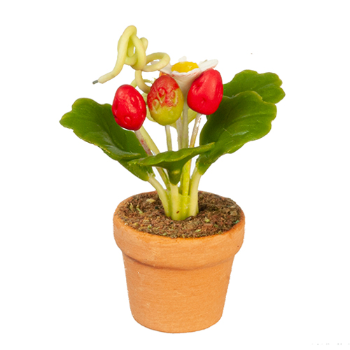 AZG6327 - Red/White Flowers In Pot