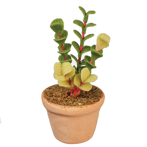 AZG6337 - Potted Plant