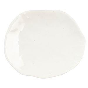 AZG6682 - Med.Oval Plate/White