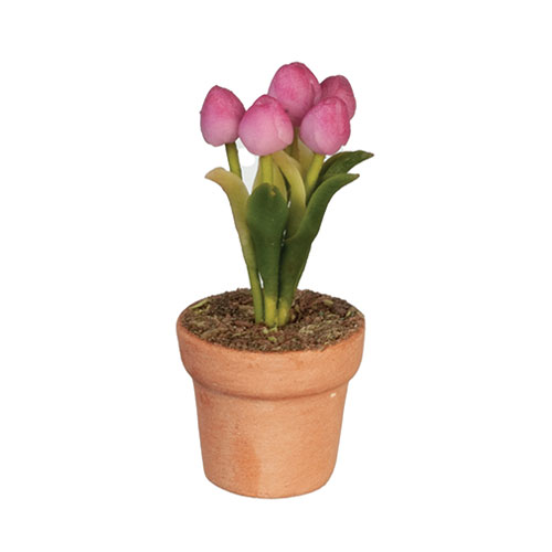 AZG6794 - Potted Tulip