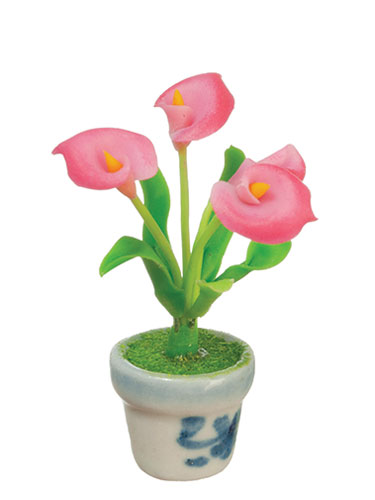 AZG6849A - Anthuriums In Pot/Pink