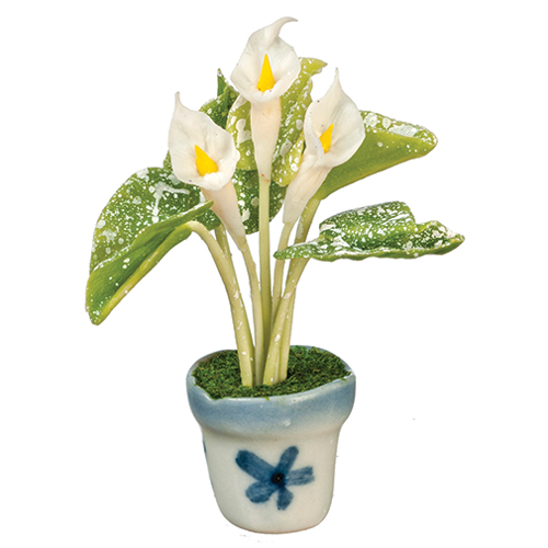 AZG6925 - Calla Lily