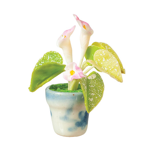 AZG6925P - Calla Lily/White/Pink