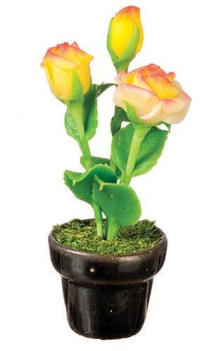 AZG7373 - Roses In Pot/Yellow