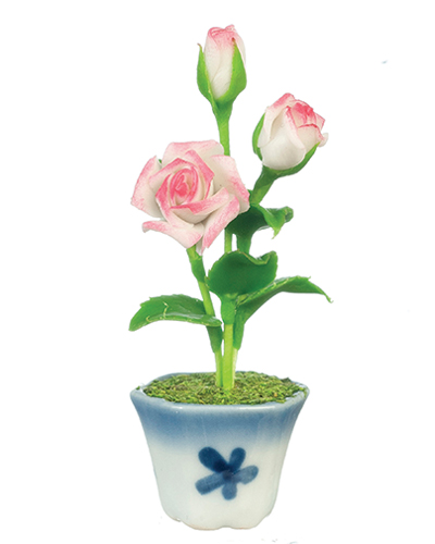 AZG7376 - Roses In Pot, White/Pink