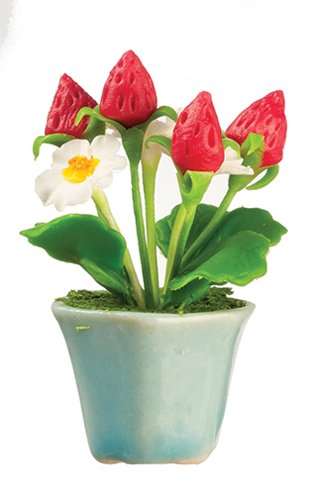 AZG7377 - Srawberry Plant In Pot