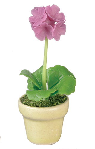 AZG7383 - Discontinued: Allium In Pot/Pink