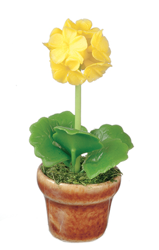 AZG7384 - Allium In Pot/Yellow