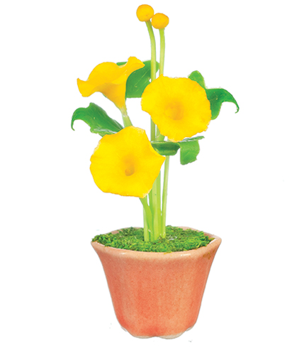 AZG7404 - Morning Glories In Pot/Ye
