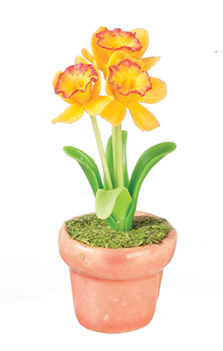 AZG7413 - Daffodils In Pot/Peach