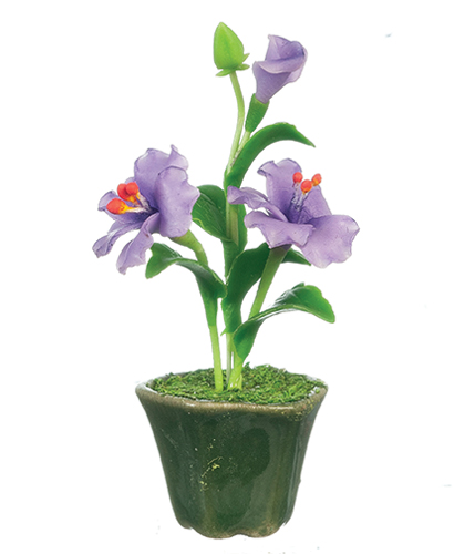 AZG7416 - Hibiscus/Violet