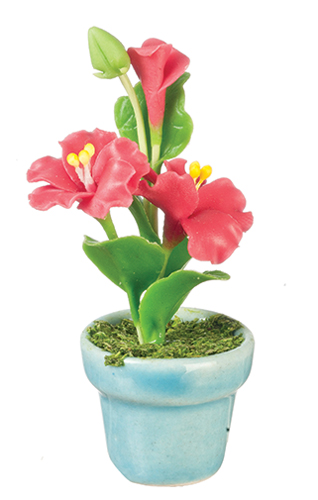 AZG7419 - Hibiscus/Red