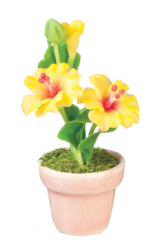 AZG7420 - Hibiscus/Yellow