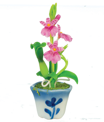 AZG7421 - Oncidium Orchid/Lavender
