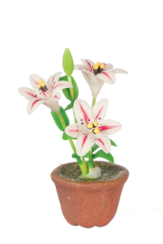 AZG7472 - Lilies/White/Red Stripe