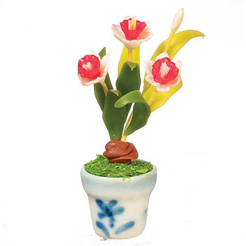 AZG7570 - Red Daffodils In Pot
