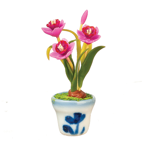AZG7571 - Mauve Daffodils In Pot