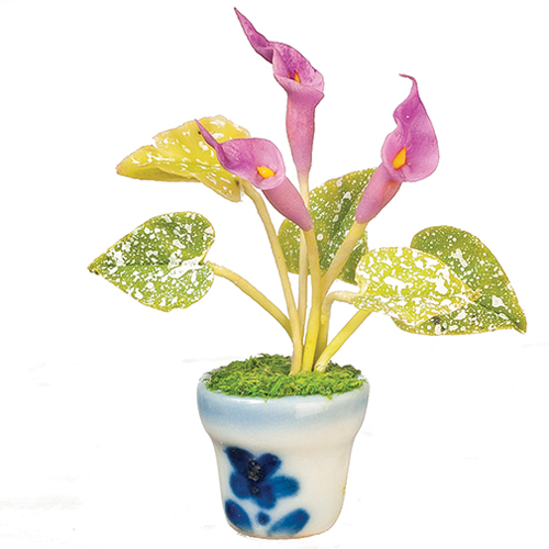 AZG7575 - Callalily In Pot, Purple