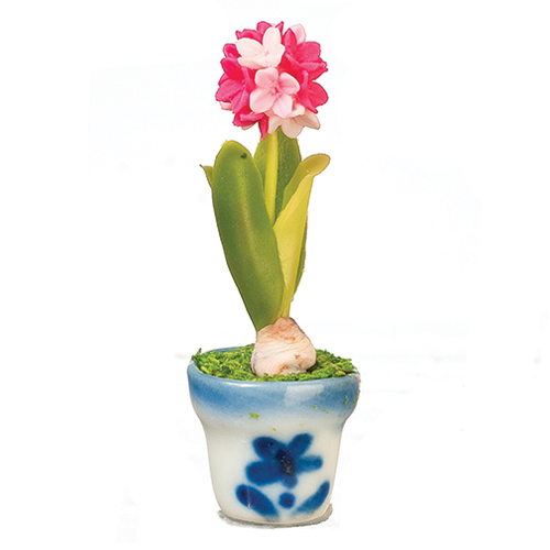 AZG7580 - Allium In Pot