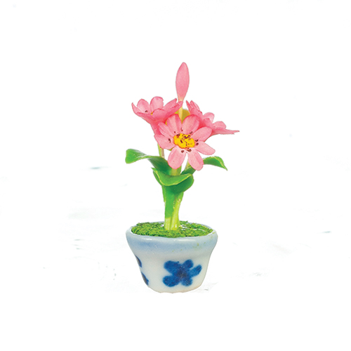 AZG7586 - Gazomia In Pot