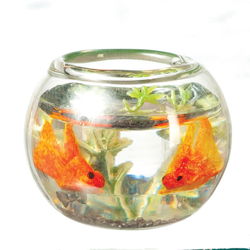 AZG7778 - Fish Bowl/Black Sand