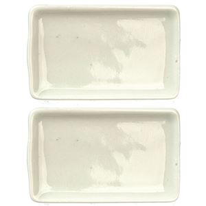 AZG8359 - Rectangular Ceramic Plates, 2
