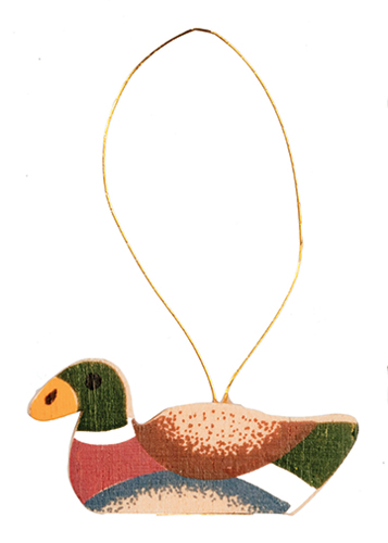 AZMA8884 - Flatback Duck