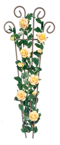 AZSH0029 - 5 1/2In Trellis/Yellow