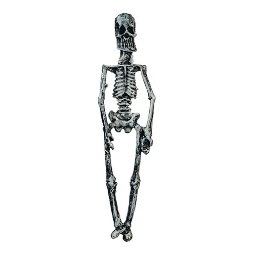 AZT8508 - Skeleton