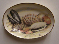 BYBCDD539 - Sea Shell Tray