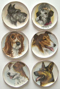BYBCDD73 - 6 Large Dog Platters