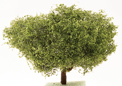 CA1561 - Ornamental American Beech Tree on Spike, 4 Inches