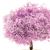 CA1562 - Ornamental Redbud Tree on Spike, 4 Inches