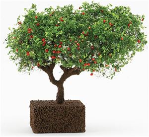 CA1564 - Ornamental Delicious Apple Tree on Spike, 4 Inches