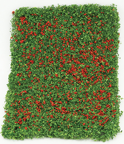 CA4126 - Red Rose Leaf Micro-Phlox 5&quot;x7&quot;