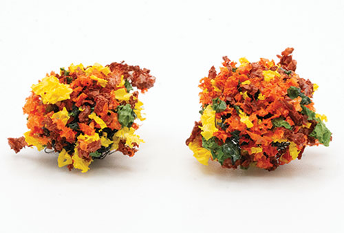 CA9001 - 3/4&quot; Autumn Border Plant, 2 Pack
