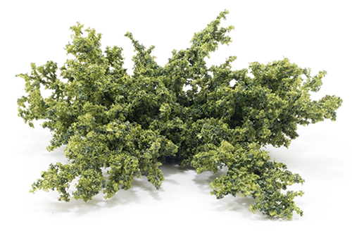 CAGC - Cagc-06 Ground Cover (Juniper), Green