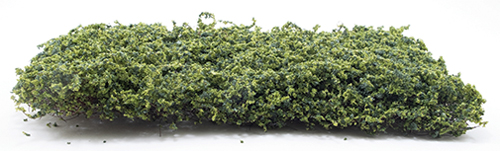 CAGV - Green Ivy Vine (New Design)