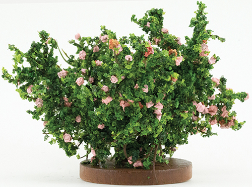 CARBSP - Rose Bush, Small, Pink