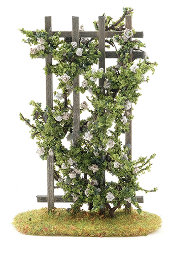 CARTW - Rose Trellis, White