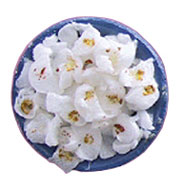 CAR8645 - Popcorn In Bowl