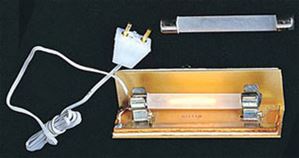 CK1019-2 - Flourette Socket &amp; Cord with 2 Bulb