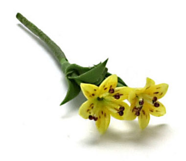FCA1647 - Tiger Lily, 2 Sm. Stem, Yellow