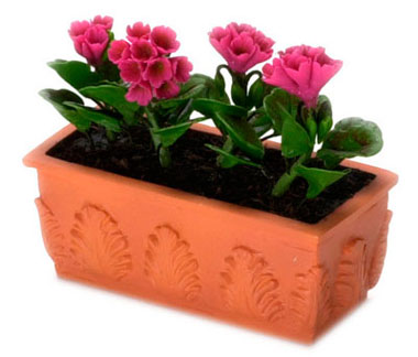 FCA1709 - Hot Pink Peranium/Window Box