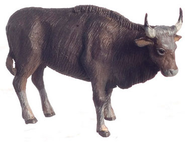 FCA1739 - Buffalo