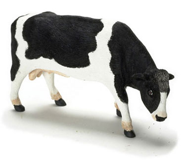 FCA1851BK - Black Bull