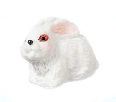FCA245WH - Rabbit, White