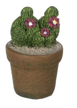 FCA2471 - Cactus