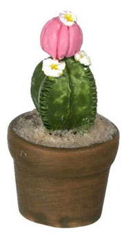 FCA2477 - Cactus